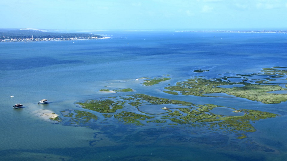 mouillage header arcachon.jpg