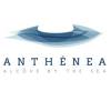 Logo Anthenea.jpg