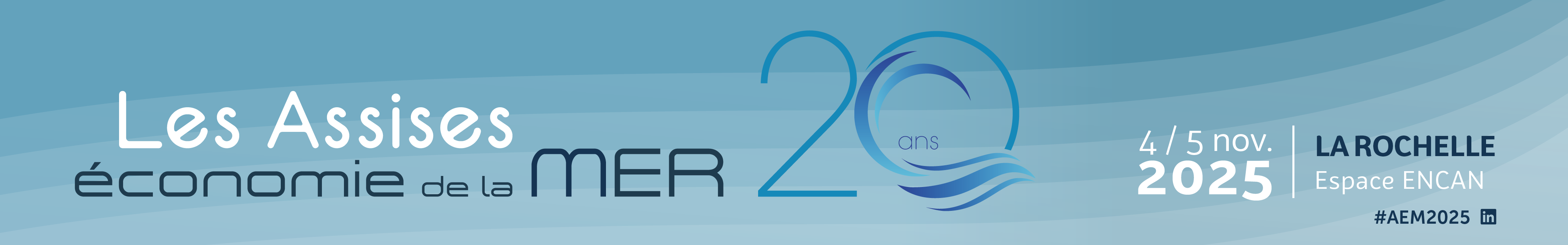 AEM2025_Banner web.png